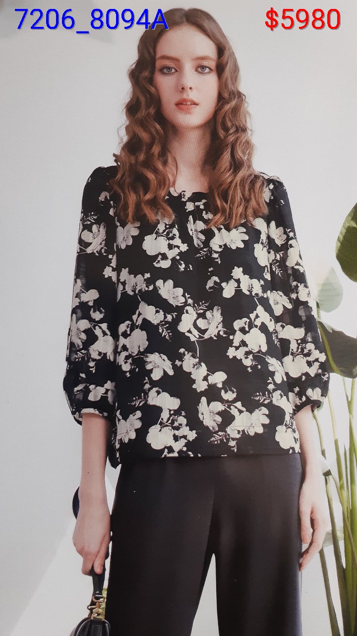 7206.8094A
